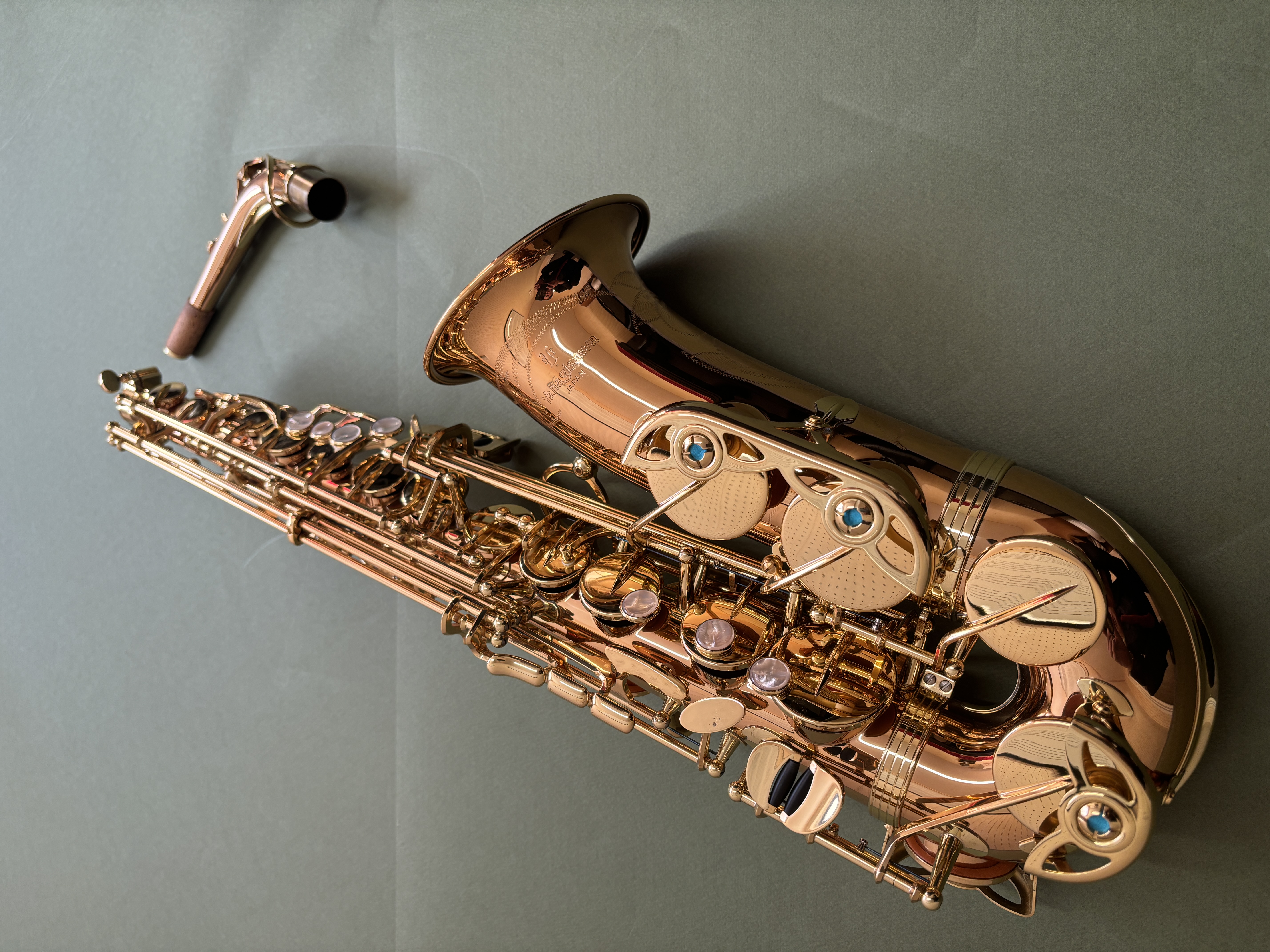 YANAGISAWA WO-2 Alto Sax