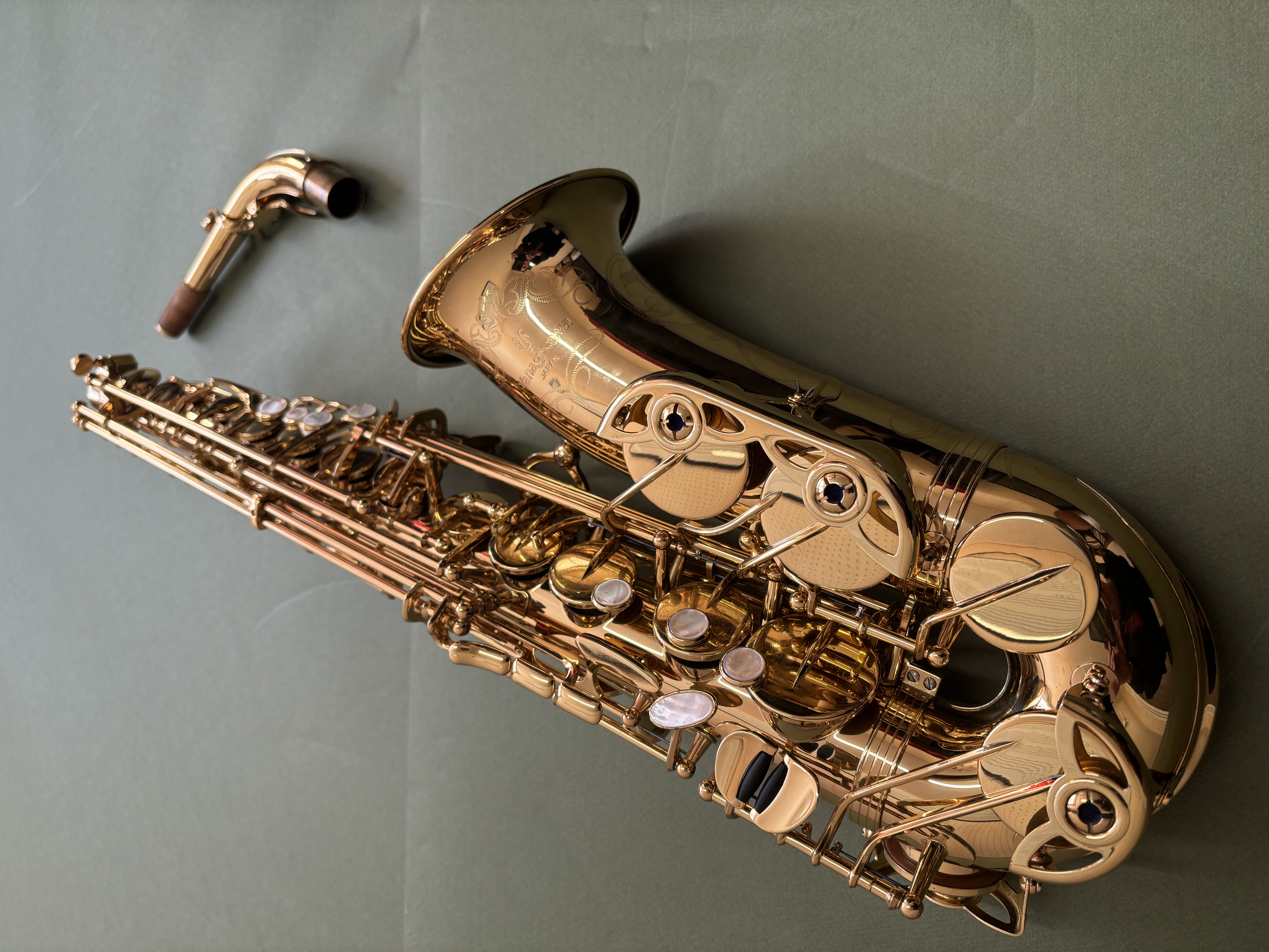 YANAGISAWA WO-10 Alto Sax